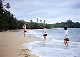 36 Cahuita playa.jpg